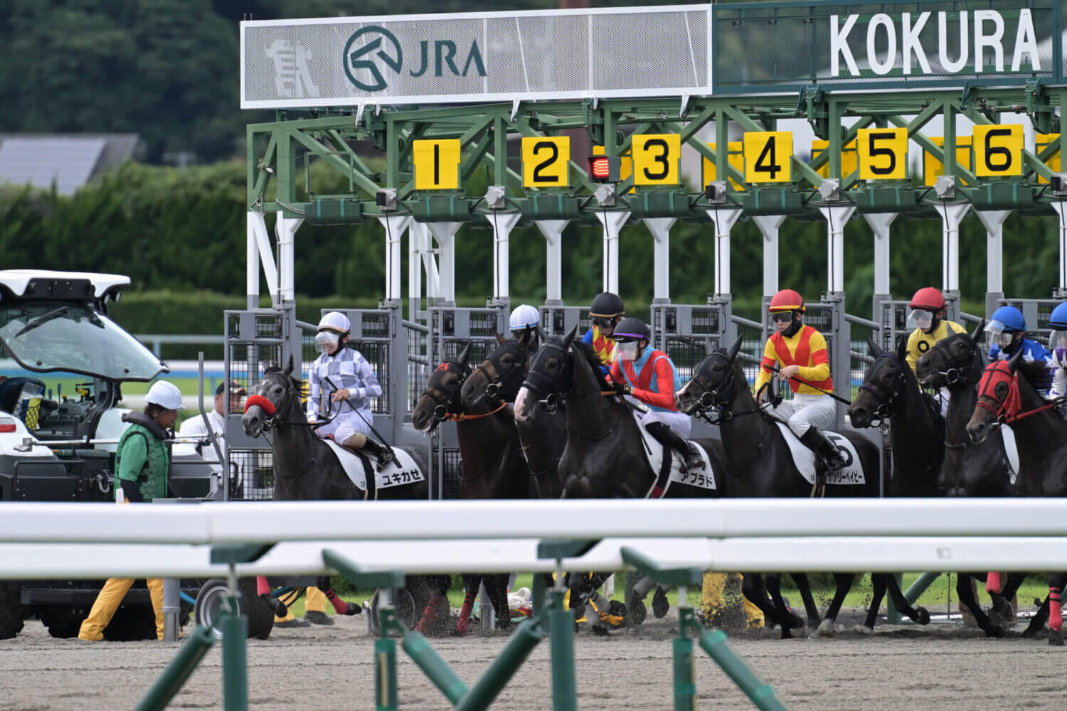 レイナドラーダ 2024年7月21日未勝利戦レース写真