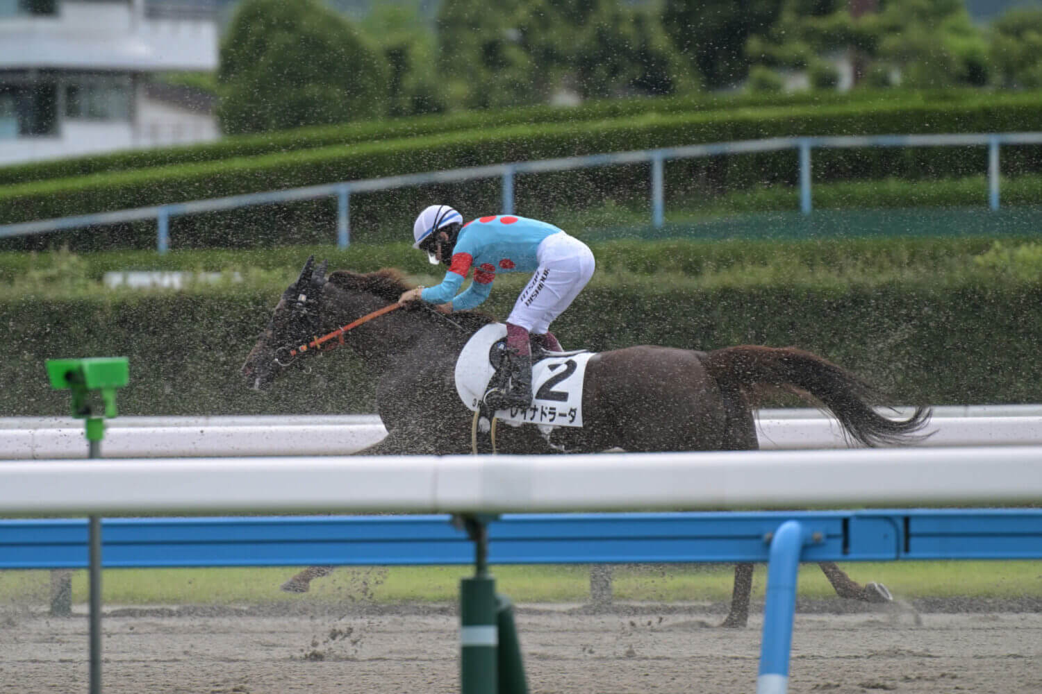 レイナドラーダ 2024年7月21日未勝利戦レース写真