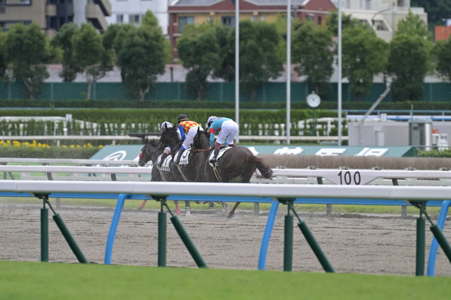 レイナドラーダ 2024年7月21日未勝利戦レース写真