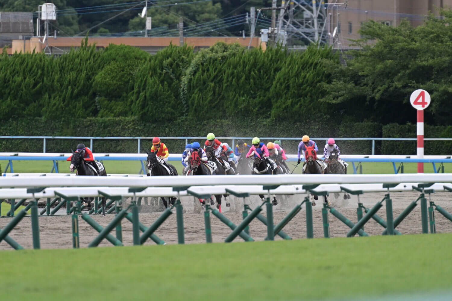 レイナドラーダ 2024年7月21日未勝利戦レース写真