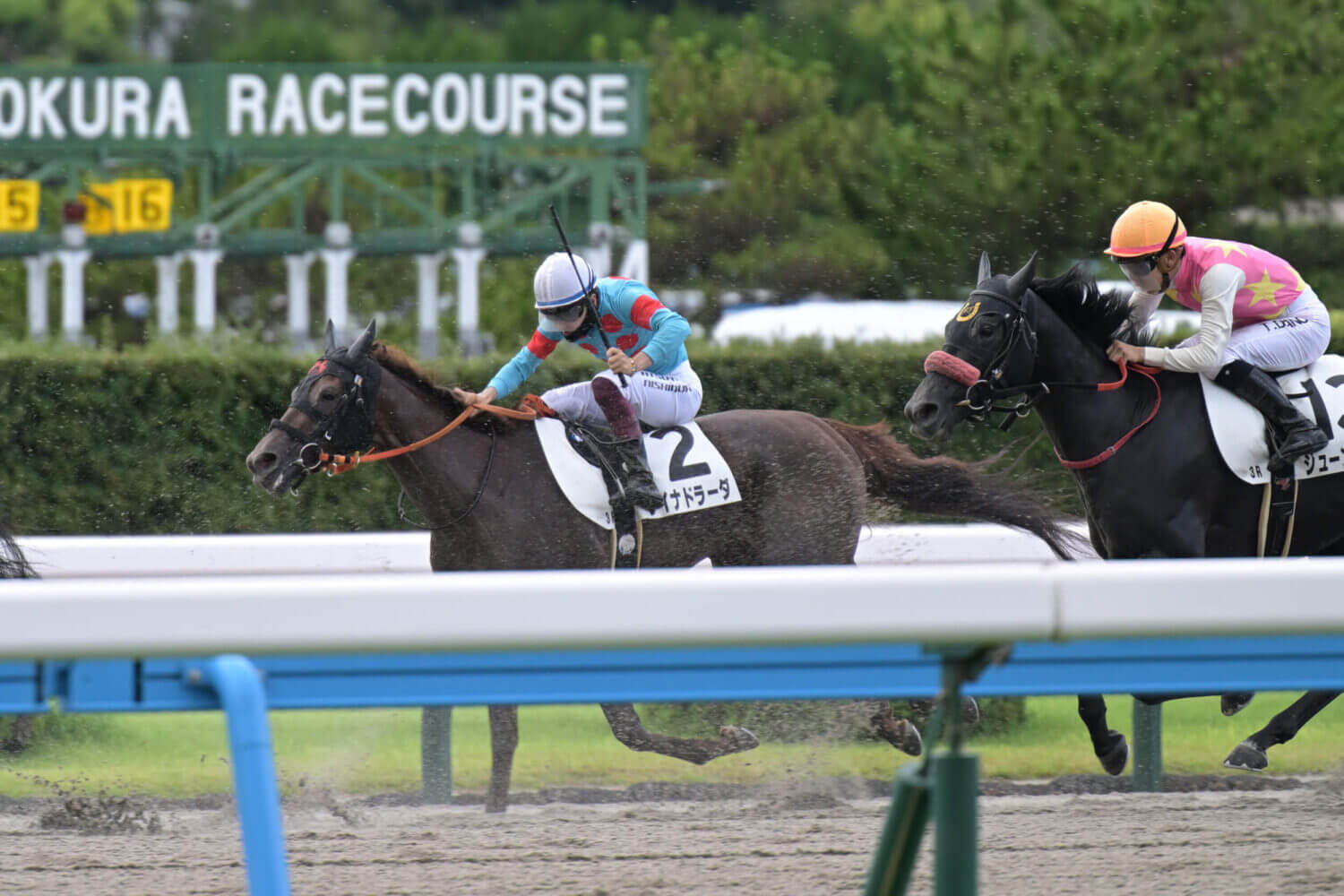 レイナドラーダ 2024年7月21日未勝利戦レース写真