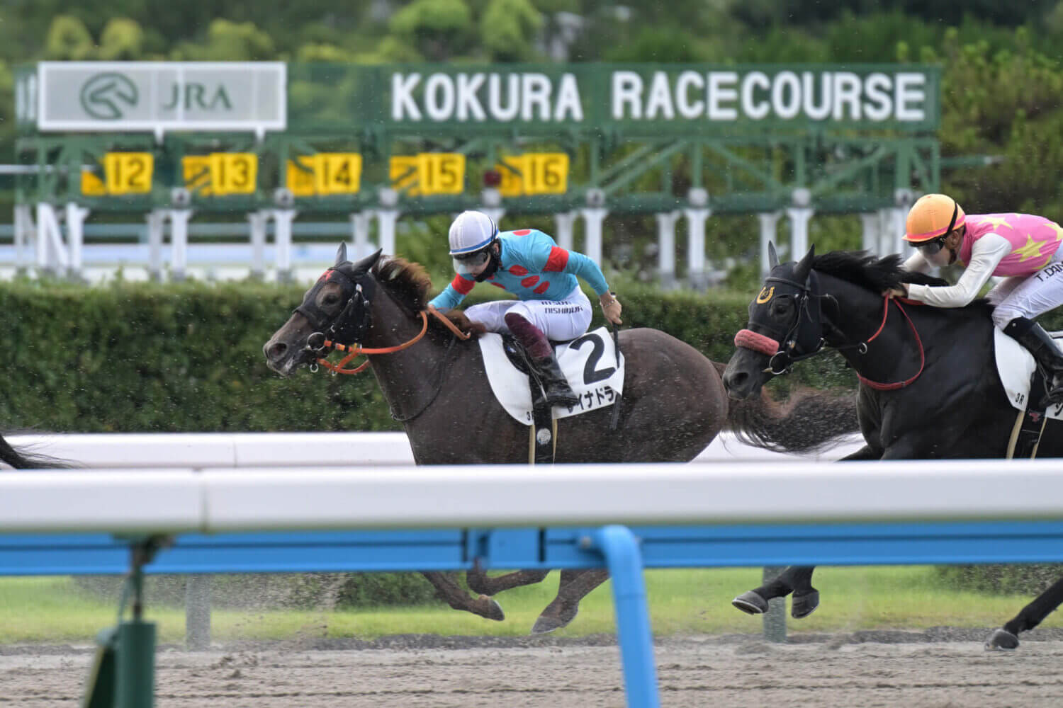 レイナドラーダ 2024年7月21日未勝利戦レース写真