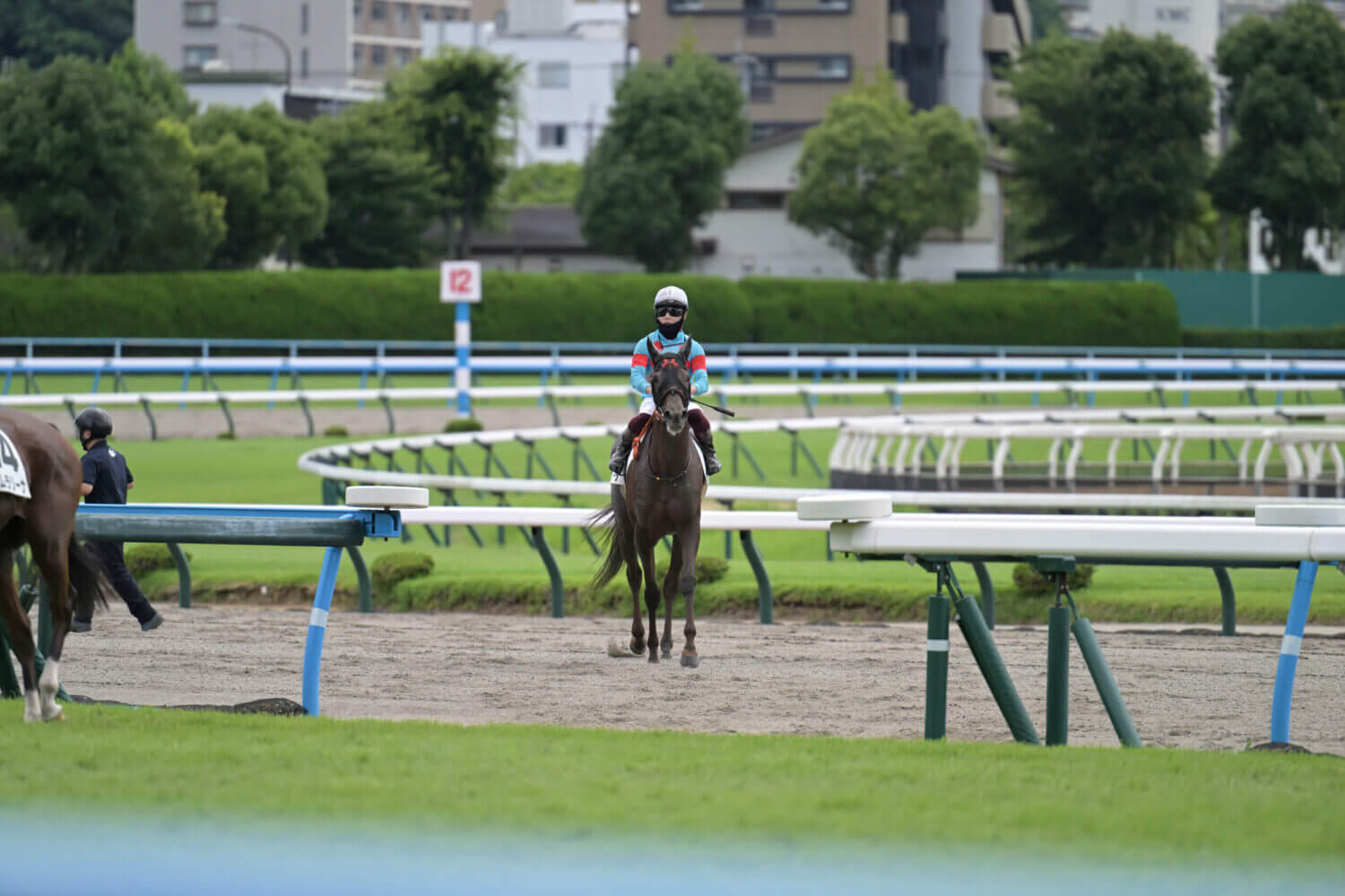 レイナドラーダ 2024年7月21日未勝利戦レース後