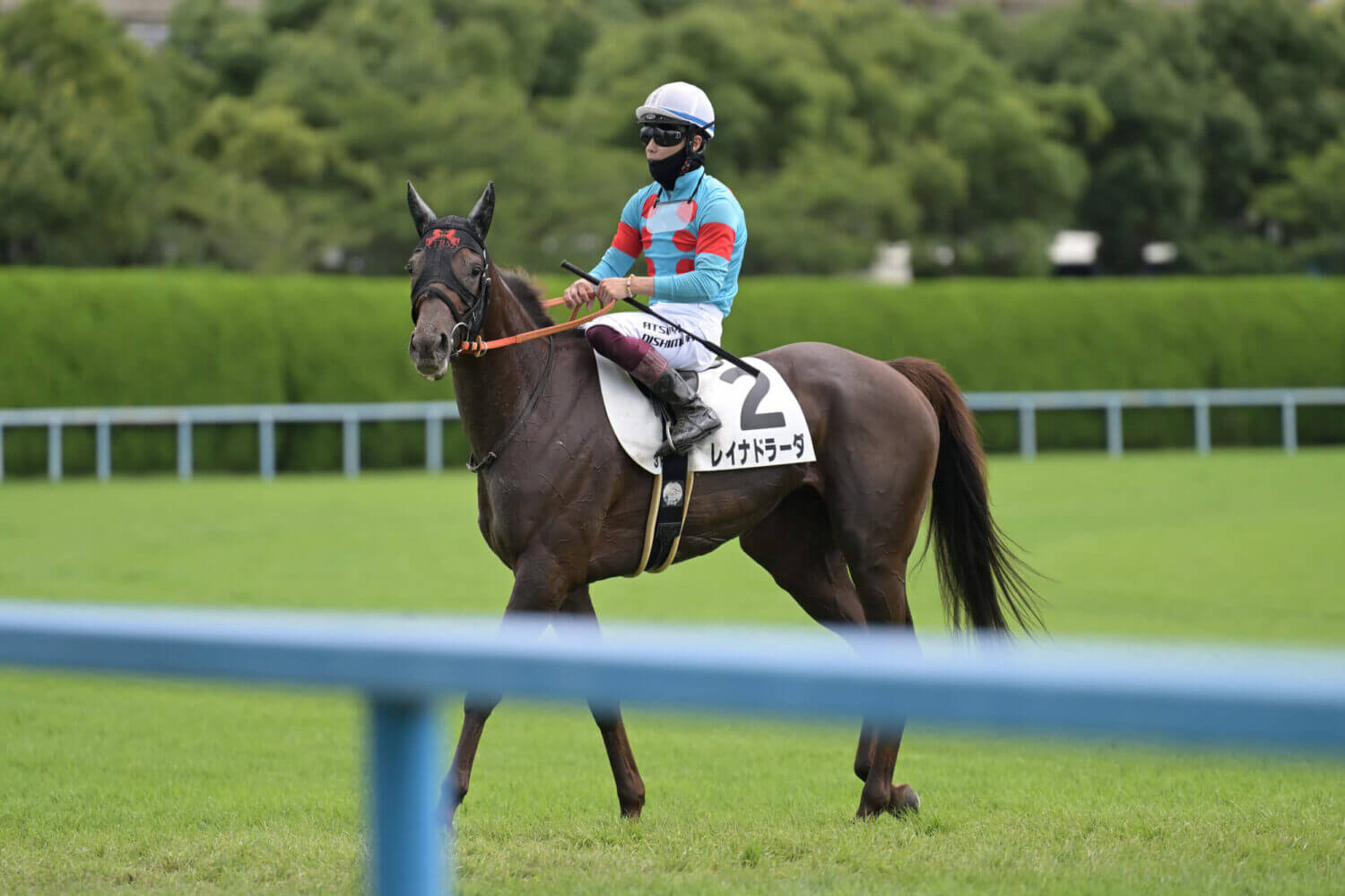 レイナドラーダ 2024年7月21日未勝利戦レース後